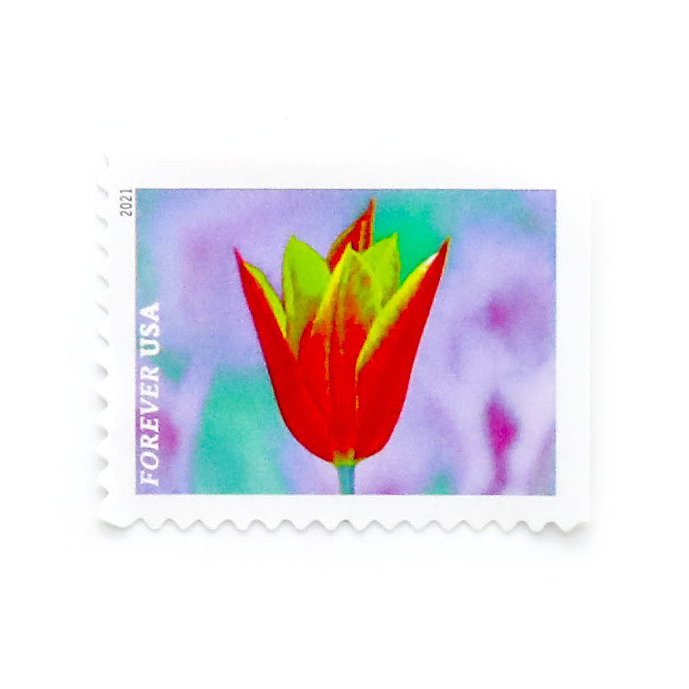 2021 U.S. Garden Beauty Forever Postage Stamps