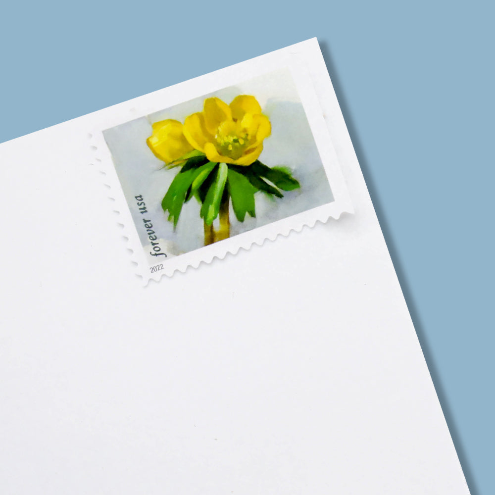 2022 First-Class Forever Stamp - Snowy Beauty: Winter Aconite